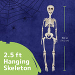 30 Inch Halloween Giant Skeleton - Full Body Halloween Skeleton with Movable Joints for Best Halloween Decoration