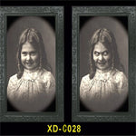 3D Changing Face Ghost Picture Frame Halloween Decoration Horror Craft Supplies Haunted House