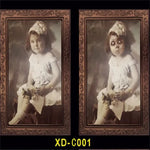 Halloween Decoration 3D Changing Face Moving Picture Frame - Spooky Ghost Portrait Halloween Wall Decoration
 