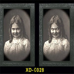 Halloween Decoration 3D Changing Face Moving Picture Frame - Spooky Ghost Portrait Halloween Wall Decoration
 