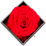 Witchcraft~Real Preserved Rose Gift Box for Girlfriend and Wife, Never Withered Rose with Brooch,Immortal Flower, Eternal Forever Rose Her on Valentine's Day,Mother's Day (Red Rose Gift Box + Brooch)