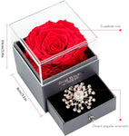 Witchcraft~Real Preserved Rose Gift Box for Girlfriend and Wife, Never Withered Rose with Brooch,Immortal Flower, Eternal Forever Rose Her on Valentine's Day,Mother's Day (Red Rose Gift Box + Brooch)