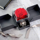 Witchcraft~Real Preserved Rose Gift Box for Girlfriend and Wife, Never Withered Rose with Brooch,Immortal Flower, Eternal Forever Rose Her on Valentine's Day,Mother's Day (Red Rose Gift Box + Brooch)