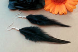 Extra Long Feather Earrings - Long Brown Feather Earrings - Striped Feather Earrings - Feather Jewelry