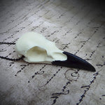 Gothic Raven Skull Necklace Halloween Resin Bird Skull Necklace Gothic Taxidermy Faux Bone Jewelry,2.75"