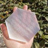 Natural selenite stone hexagon disk gypsum crystal Flower of Life Chakra sexangle Plate