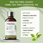 Pure Natural Therapeutic Grade Essential Oils Rose Jasmine Eucalyptus Mint Vanilla Tea Tree For Skin Care Massage Diffuser Oil - Essential Oil
