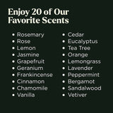 Essential Oils Set - Top 20 Gift Set Oils for Diffusers, Humidifiers, Massages, Aromatherapy, Candle Making, Skin & Hair Care - Peppermint, Tea Tree, Lavender, Eucalyptus, Lemongrass (10Ml)