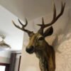 Rustic Farmhouse Decor: Faux Deer Head
