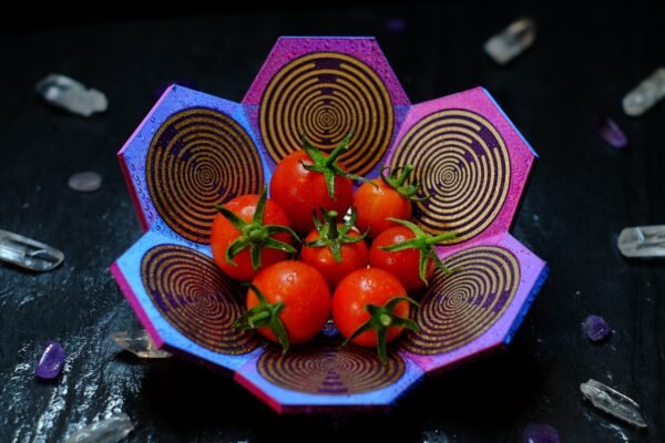 Charging station Lakhovsky MWO antenna, orgonite, EMF shield, 5G protection, radionics, multiwave oscillator, scalar waves, reiki, sacred geometry