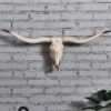 Farmhouse Decor: Animal Head Wall Decor 3D Cow Head