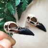 3D Resin Raven Skull Ear Studs, Halloween, Goth, Skull, Gifts,Raven Bird Skull Pendant, Men's, Unisex Gothic Statement Jewellery