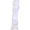 Wiccan Collection~U4942R0 Skeletal Palmistry Chriomancy Fortune Telling Skeleton Hand Figurine, Polyresin, White, 22.8cm