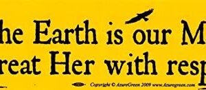 Witchcraft~The Earth is Our Mother - Treat Her with Respect - Environmental Magnetic Bumper Sticker/Decal Magnet (11.5" X 3")