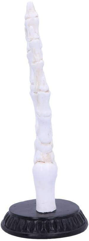 Wiccan Collection~U4942R0 Skeletal Palmistry Chriomancy Fortune Telling Skeleton Hand Figurine, Polyresin, White, 22.8cm