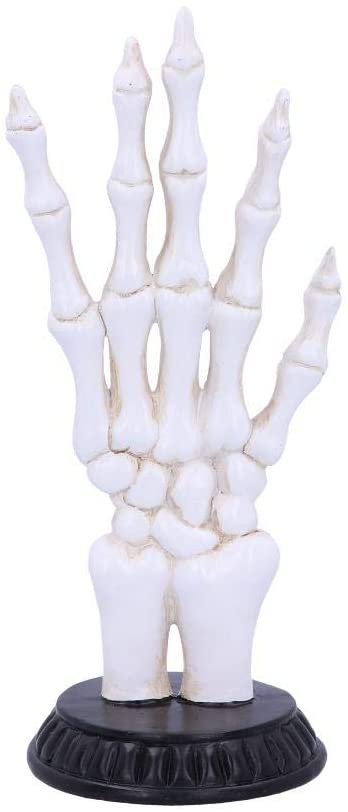 Wiccan Collection~U4942R0 Skeletal Palmistry Chriomancy Fortune Telling Skeleton Hand Figurine, Polyresin, White, 22.8cm