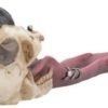 Dark Collection~Pierced Prodigy Skull Incense Holder 33cm Red, Resin, One Size