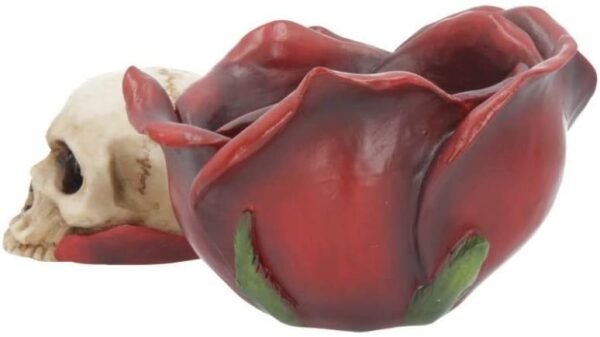 Dark Collection~Beauty and The Deceased 12.5cm Box, Red