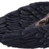 Dark Collection~Edgar Allen Poe's Nevermore Raven Skull Trinket Holder Jewellery Dish, Black, 17cm