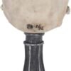Magicun N.Giftware~Skull Chalice Anne Stokes Goblet 17.8cm Ivory, Resin w/Stainless Steel Insert, One Size