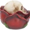 Magicun N.Giftware~Beauty and The Deceased 12.5cm Box, Red