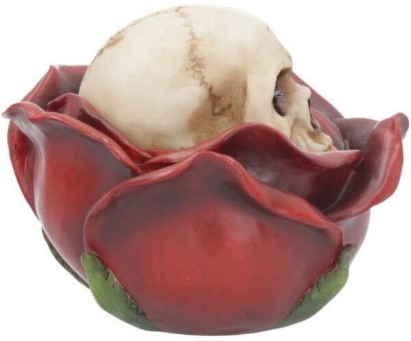 Magicun N.Giftware~Beauty and The Deceased 12.5cm Box, Red