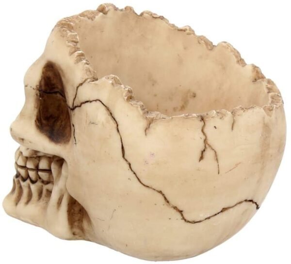 Dark Collection~Lobo Ashtray 13.5cm Ivory