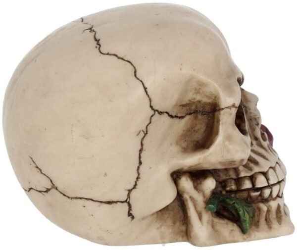 Magicun N.Giftware~Rose from The Dead Figurine 13.5cm Ivory