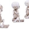 Dark Collection~See No, Hear No, Speak No Evil Skellywag Skeleton Figurines, Polyresin, Natural Bone Colour, One Size