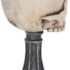 Artist Collections~ Skull Chalice Anne Stokes Goblet 17.8cm Ivory, Resin w/Stainless Steel Insert