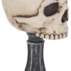 Magicun N.Giftware~Skull Chalice Anne Stokes Goblet 17.8cm Ivory, Resin w/Stainless Steel Insert, One Size