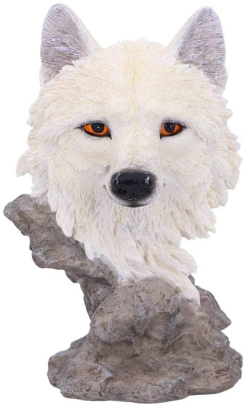 Magicun N.Giftware~Snow Searcher Wolf Bust 12cm, Polyresin, White, One Size