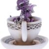 Fantasy Collection~ Purple Dracuccino Dragon Teacup Figurine, Polyresin, One Size