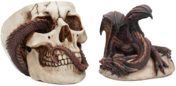 Fantasy Collection~ Draconic Craniotomy 19.6cm Box, Resin, Ivory