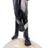 Dark Collection~Feline Fate Light Up Skull with Black Cat Figurine, Polyresin, One Size