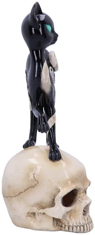 Dark Collection~Feline Fate Light Up Skull with Black Cat Figurine, Polyresin, One Size