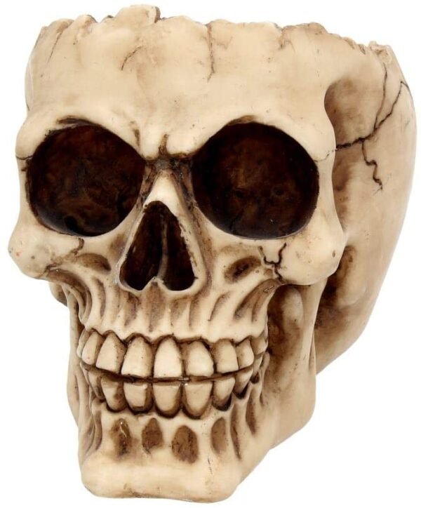 Dark Collection~Lobo Ashtray 13.5cm Ivory