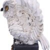 Wiccan Collection~Archimedes White Horned Owl Perched on a Locked Box Figurine, 12.5cm