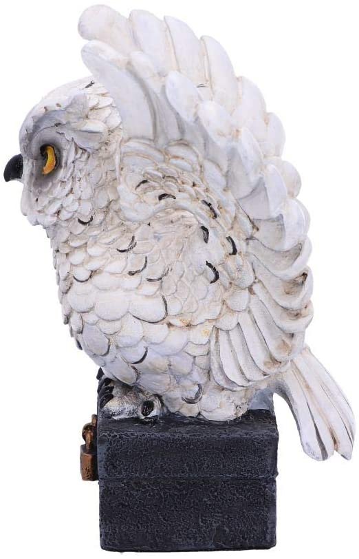 Wiccan Collection~Archimedes White Horned Owl Perched on a Locked Box Figurine, 12.5cm