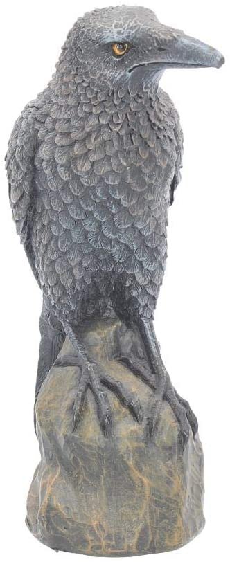 Magicun N.Giftware~Ravens Rest Figurine 20cm Black