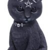 Dark Collection~Pawzuph Horned Occult Cat Figurine, Polyresin, Black and Silver, 11cm