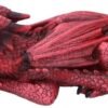 Fantasy Collection~ Ruby Dreaming Sleeping Red Dragon Figurine, Polyresin, One Size