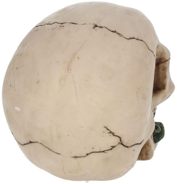 Dark Collection~NEM3721 Rose From the Dead Figurine 13.5cm Ivory