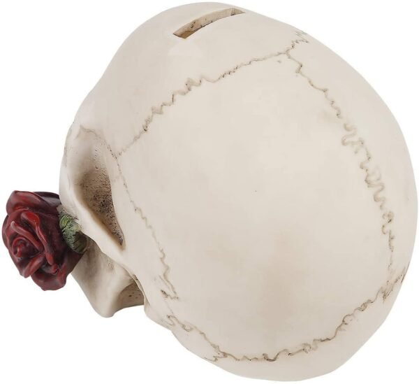 Dark Collection~Argentine Skull Money Box 18cm Ivory