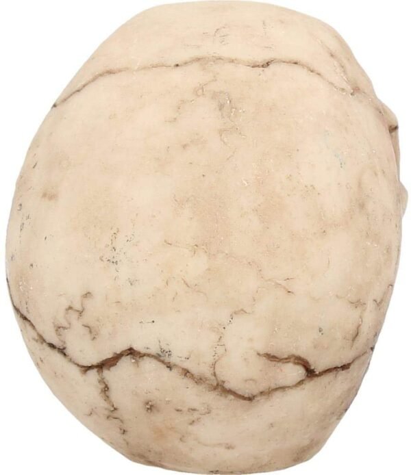 Dark Collection~Joker Figurine 11cm Ivory