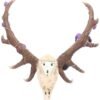 Wiccan Collection~Antlers of Eden Wall Plaque 45cm White, Polyresin