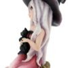 Wiccan Collection~Rosa 15cm Figurine, Resin, Pink