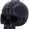 Dark Collection~Cave Small Dragon Hiding Within a Crystal Skull, Polyresin, Black, 16.5cm