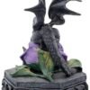 Artist Collections~ Dragon Beauty Anne Stokes Box 25cm Black, Resin