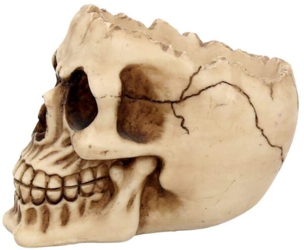 Dark Collection~Lobo Ashtray 13.5cm Ivory